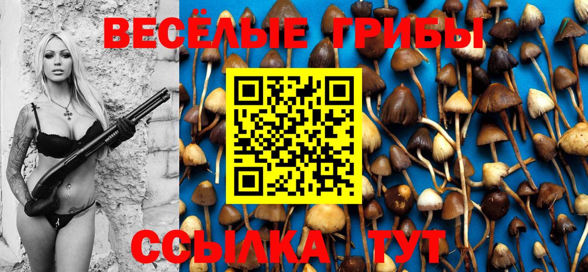 Галлюциногенные грибы GOLDEN TEACHER  как найти наркотики  Новотроицк  Вход с VPN 
