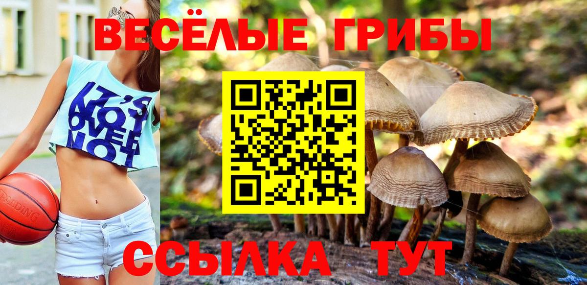 Галлюциногенные грибы GOLDEN TEACHER Новотроицк